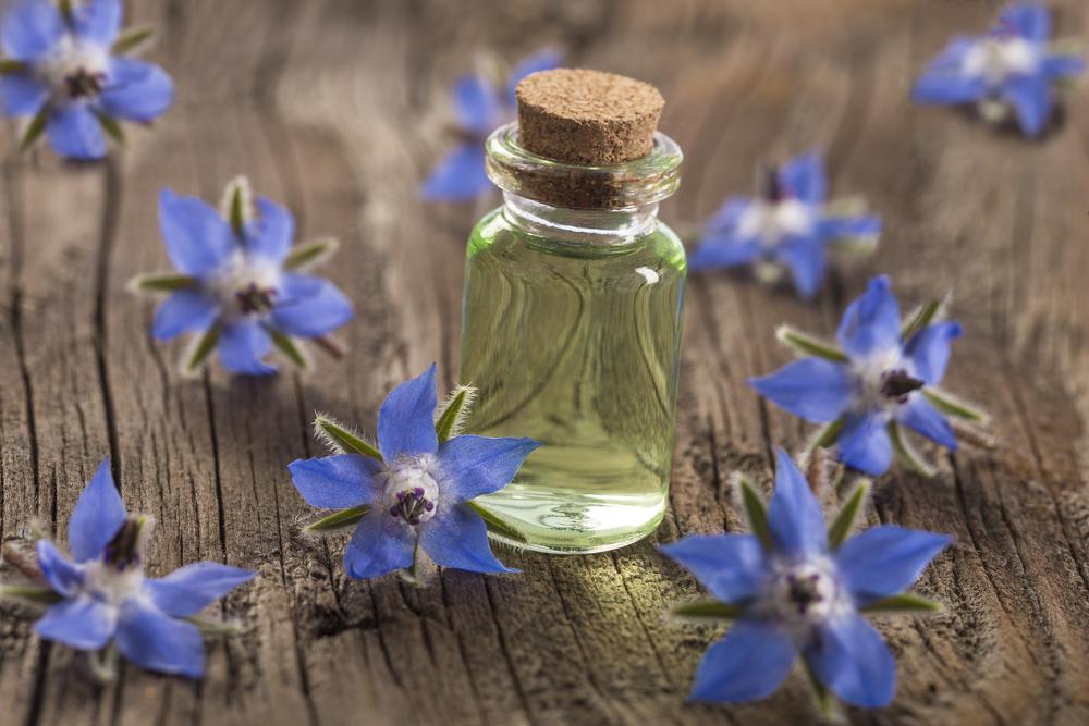 The Wonders Of Borage Oil... And Why Your Hair Will Absolutely Love It