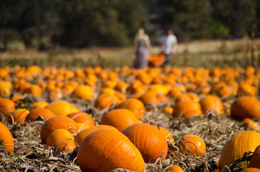 Pumpkin Spice: It’s Your Hair’s Favorite, Too!